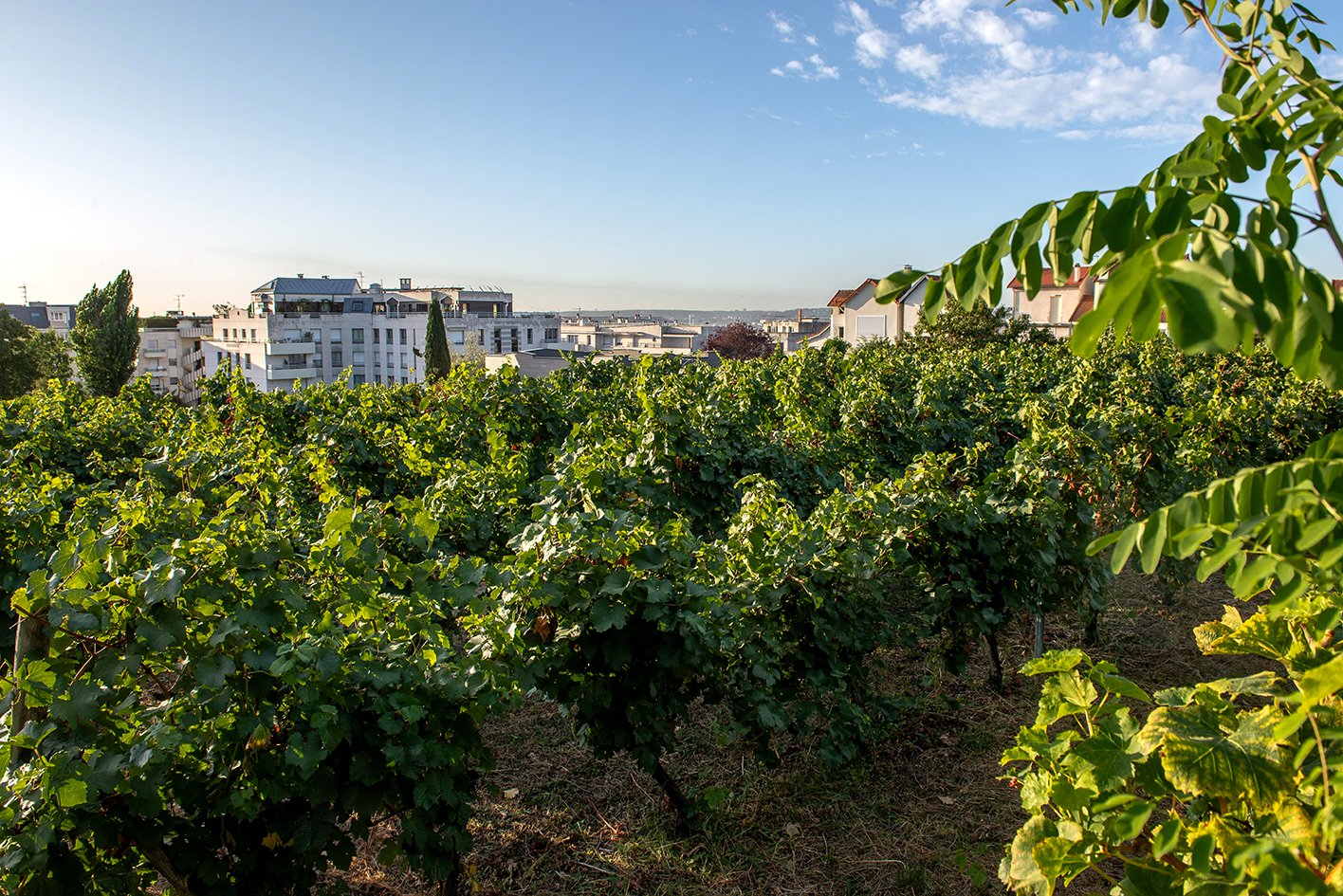 Hauts-de-Seine Guide
